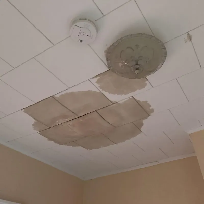 Ceiling Water Damage Repair in Nahunta, GA