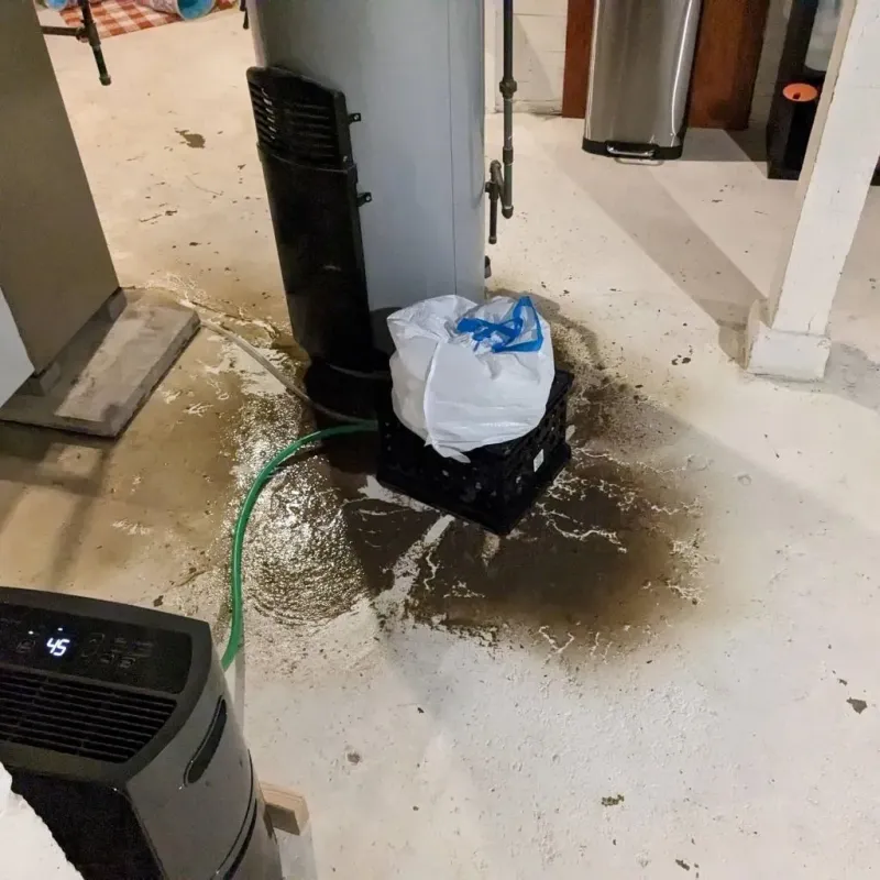 Sewage Backup Cleanup Service in Nahunta, GA